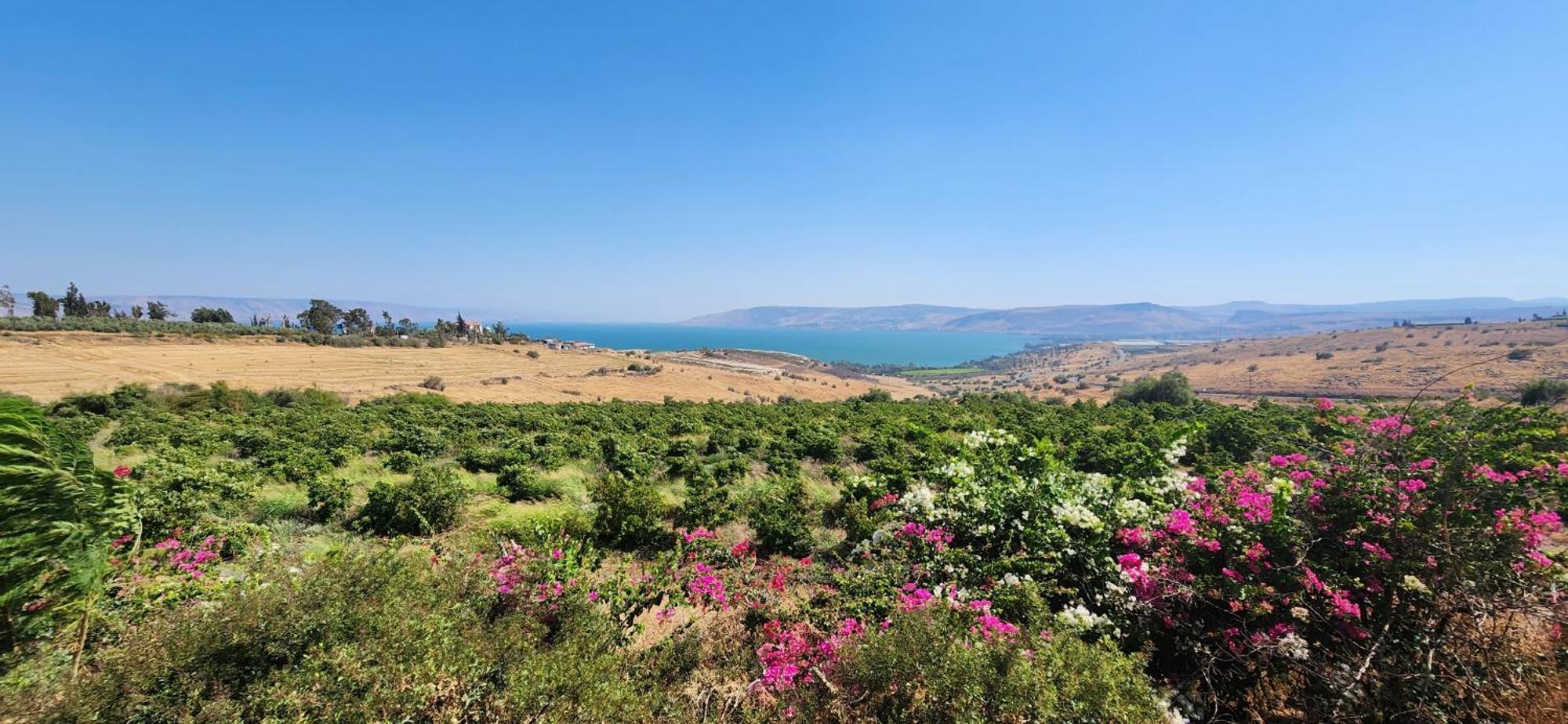 شقة Casa Cohen C Kineret קאסה כהן סי כנרת ميغدال المظهر الخارجي الصورة
